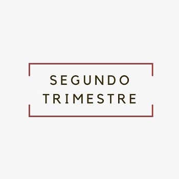 SEGUNDO TRIMESTRE
